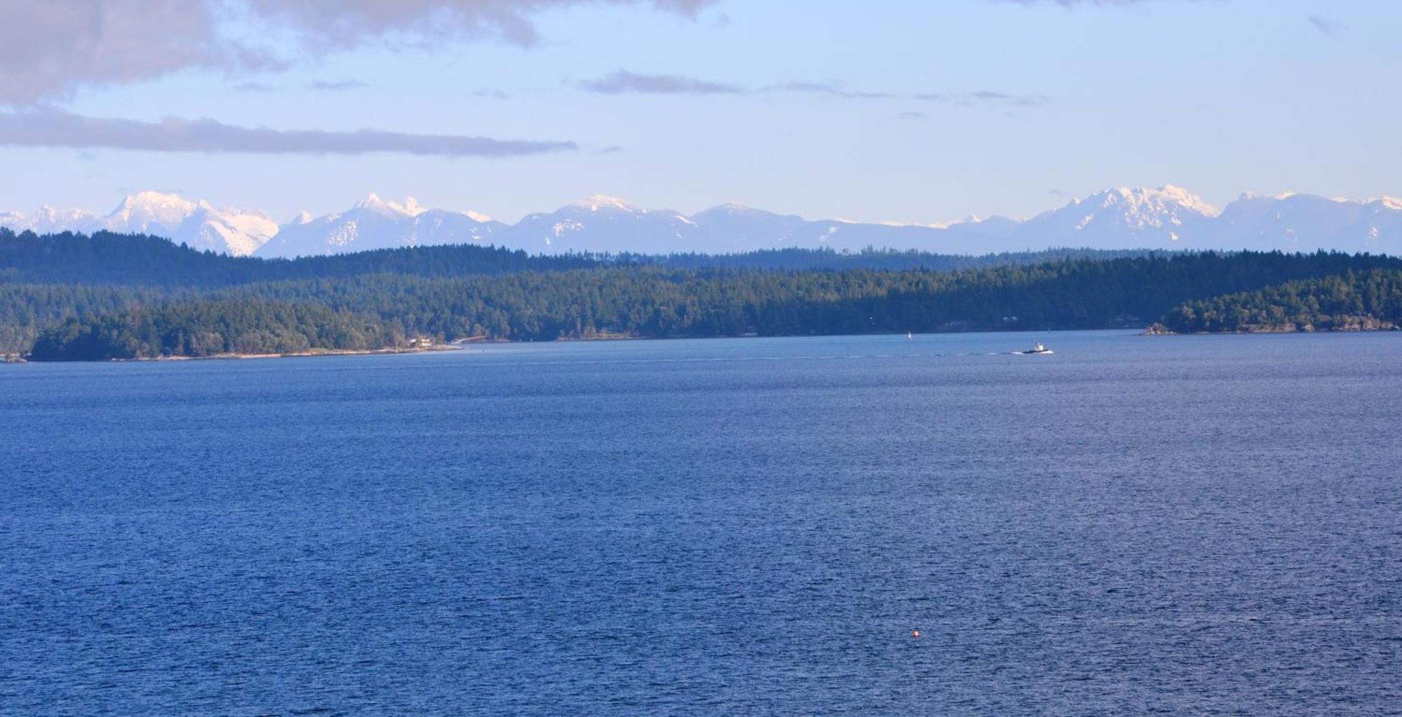 Eagle Rock Bed And Breakfast Chemainus Exteriér fotografie